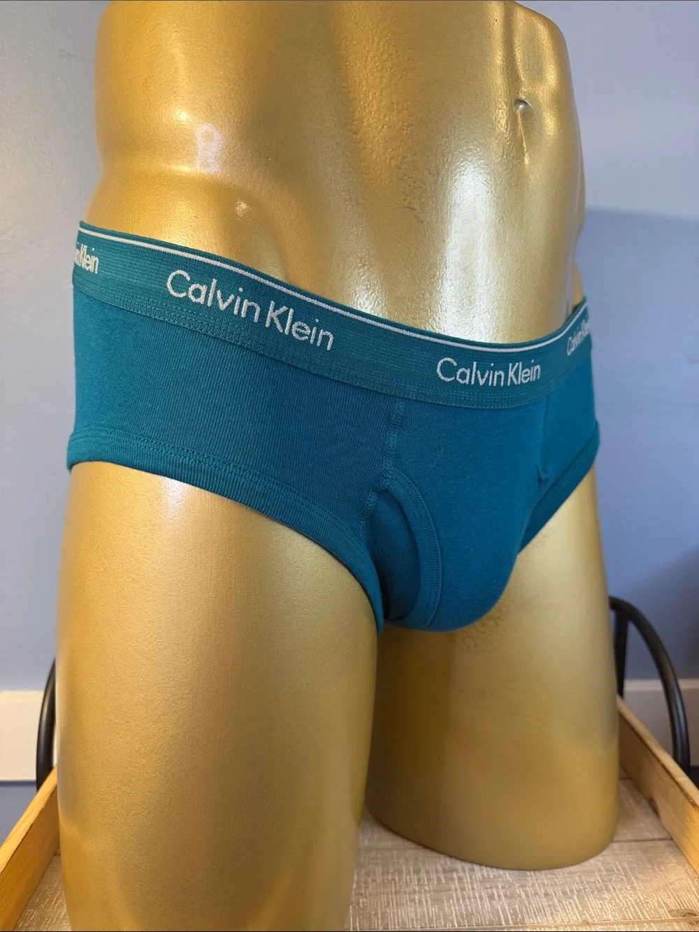 Calvin Klein Teal Cotton Briefs Large